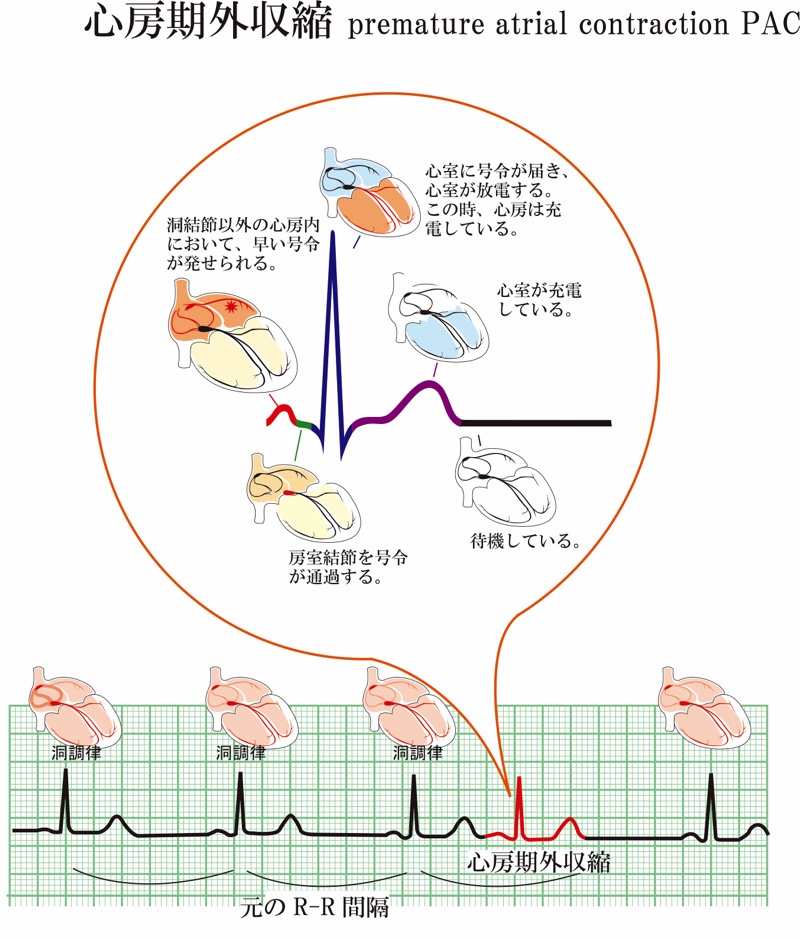 [図]