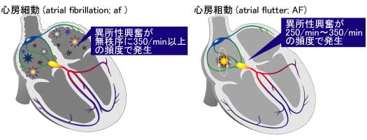 [図]