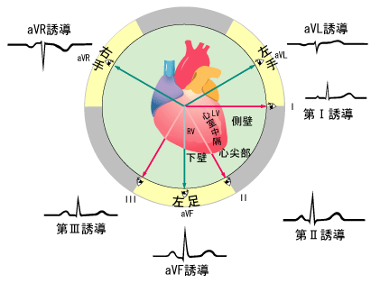 [図]