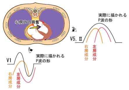 [図]