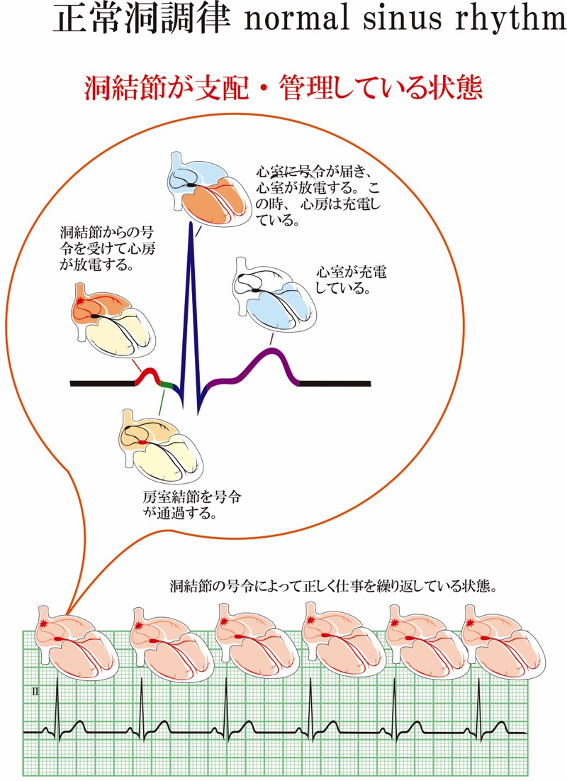 [図]