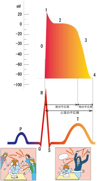 電気的活動