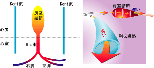 [図]