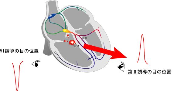 [図]