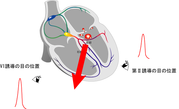 [図]