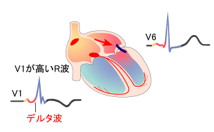 [図]