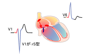 [図]