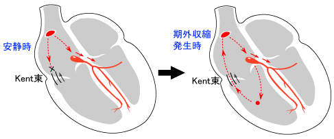 [図]